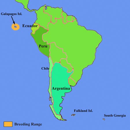 Distribution Map Galapagos Penguin