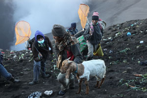 Waiting for sacrificial goods, retrieving sacrificial goat, inside Bromo Volcano crater, Yadnya Kasada Festival