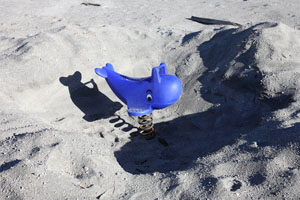 Dolphin at playground buried in lahar deposits, Chaiten