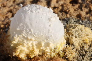 Dallol Volcano Fumarolic Salt Deposits, Egg-Shell-like