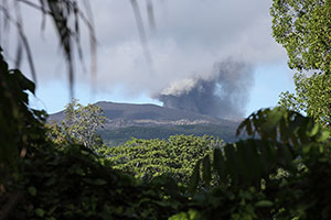 Dukono volcano framed by vegetation