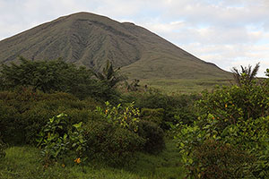 Vegetated flanks of Lokon volcano