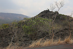 1772 Flow field, Masaya Volcano
