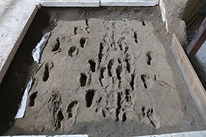 Acahualinca footprints