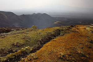 Nyamuragira Volcano primary site of 2011 eruption. Fissures, fumarolic deposits