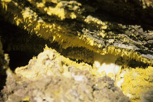 Sulfur crystals formed in fumarole on Oldoinyo Lengai volcano
