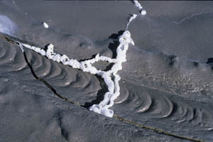 Solidified Pahoehoe Flow, fumarolic salt deposits, Oldoinyo Lengai Volcano