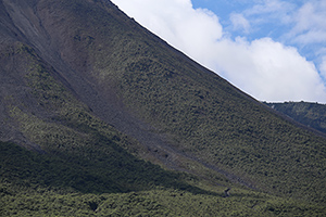 Reventador volcano, Ecuador, Flank detail