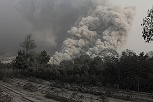 Field covered in ash by Sinabung Volcano with Pyroclastic Flow in Background