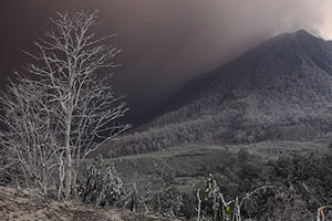 Volcanic ash and grey landscape at foot of Mount Sinabung