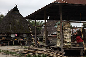 Traditional Village near Lake Toba