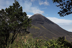 Soputan volcano viewed through vegetation