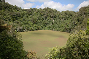 Southern Crater 1886 Waimangu Valley