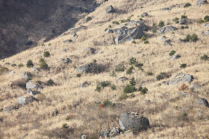 Dome fragments in Oshigadani valley
