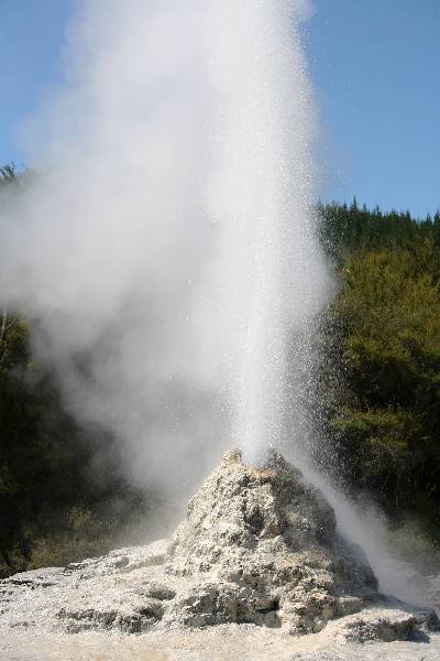 Wai-O-Tapu Geothermal Area, Lady Knox Geyser