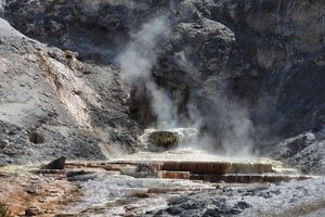 Hot Spring, Mammoth Hot Springs, Yellowstone