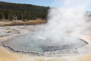 Crested Pool, Hot Spring, Yellowstone