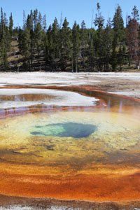 Chromatic Pool, Yellowstone