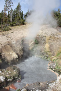 Dragons Mouth Spring, Mud Volcano Area, Yellowstone